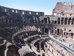  The colisseum