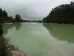  Wai-o-Tapu, nr Rotorua