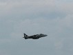  Close-Up Harrier