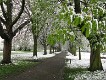  Ealing in the snow, April 6