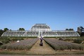  Palm House, Kew Gardens